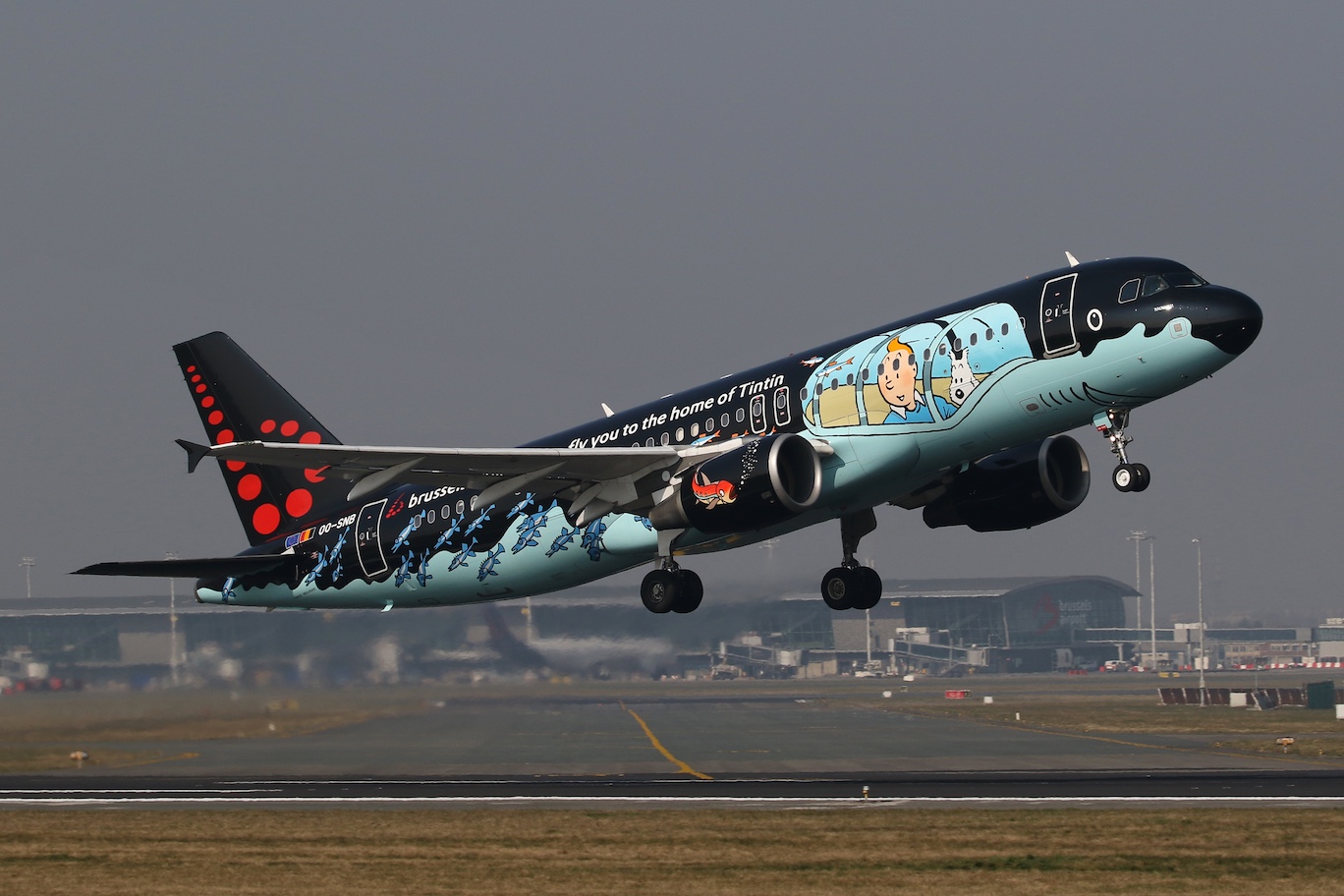 Brussels Airlines Tintin special livery